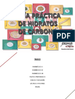 Guia Hidratos de Carbono CESNUT