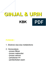 03.03 Ginjal & Urin 01