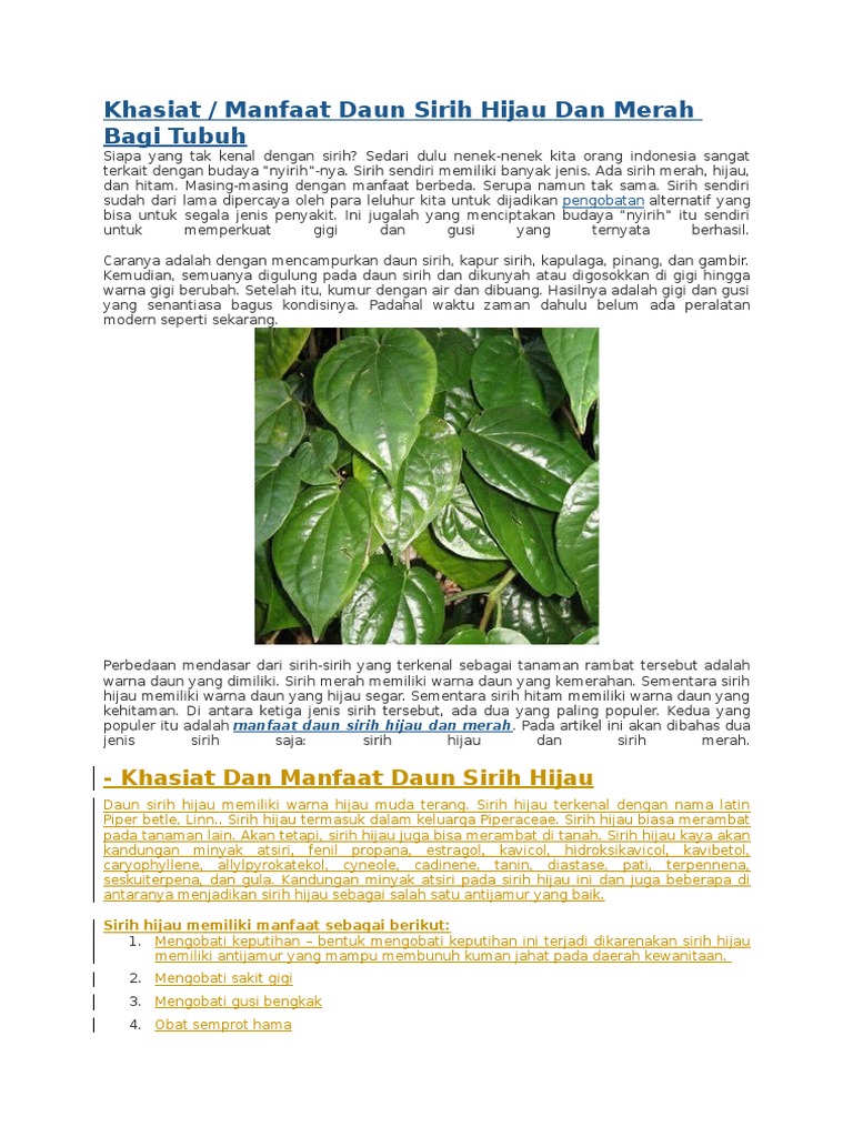Daun Sirih