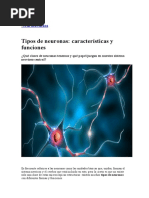 Neuronas 