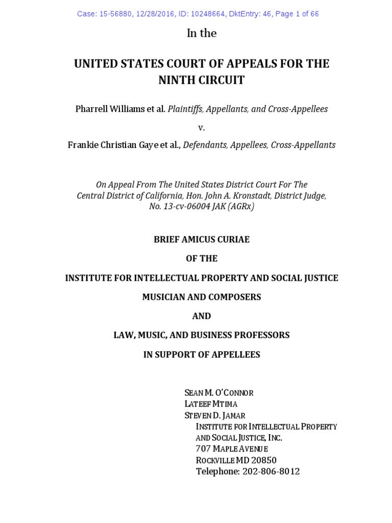 amicus-brief-amicus-curiae-government