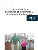 Clase 1 Endocrino Ã"rganos Endocrinos, Clasificaciã N de La Hormonas y