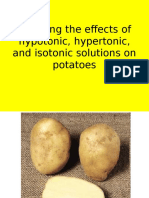 Studying The Effects of Hypotonic, Hypertonic, and Isotonic Solutions On Potatoes