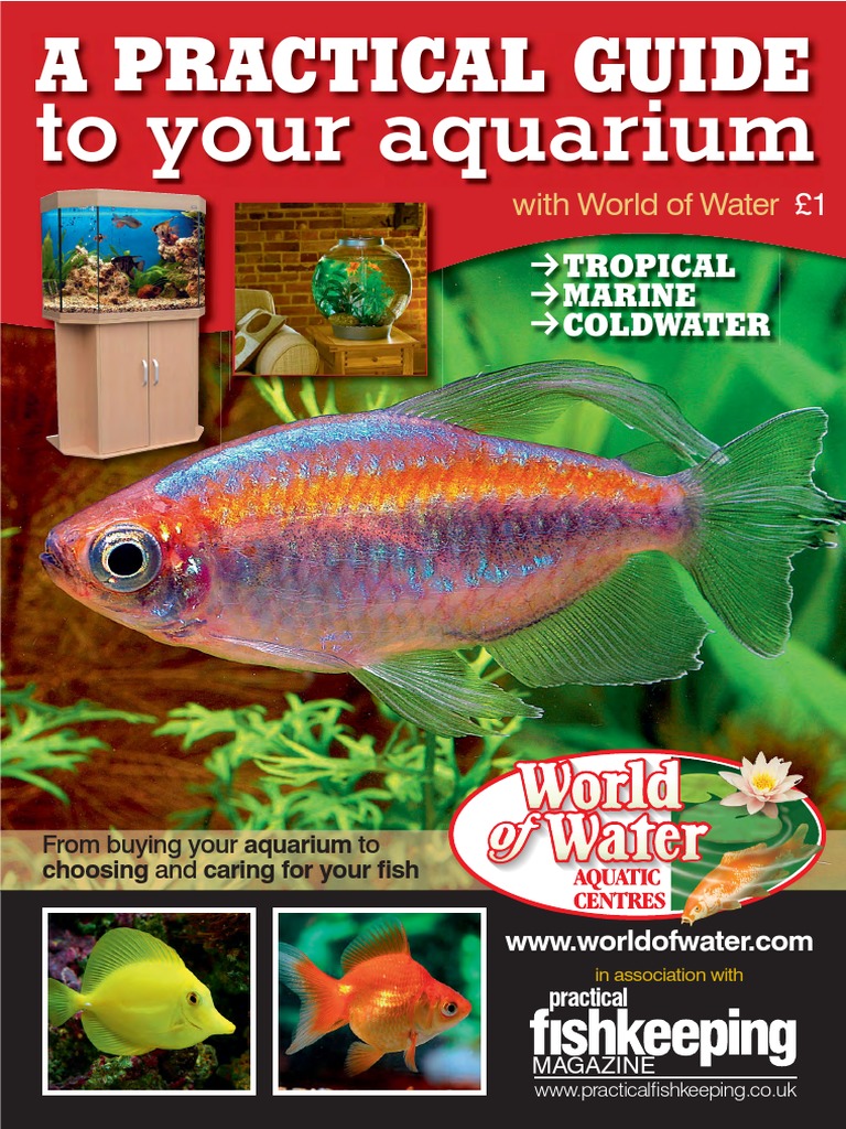 aquarium.pdf Aquarium Fishkeeping
