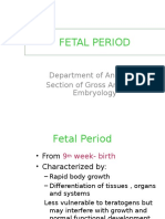 Embryology - Fetal Period