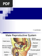 Human Reproduction