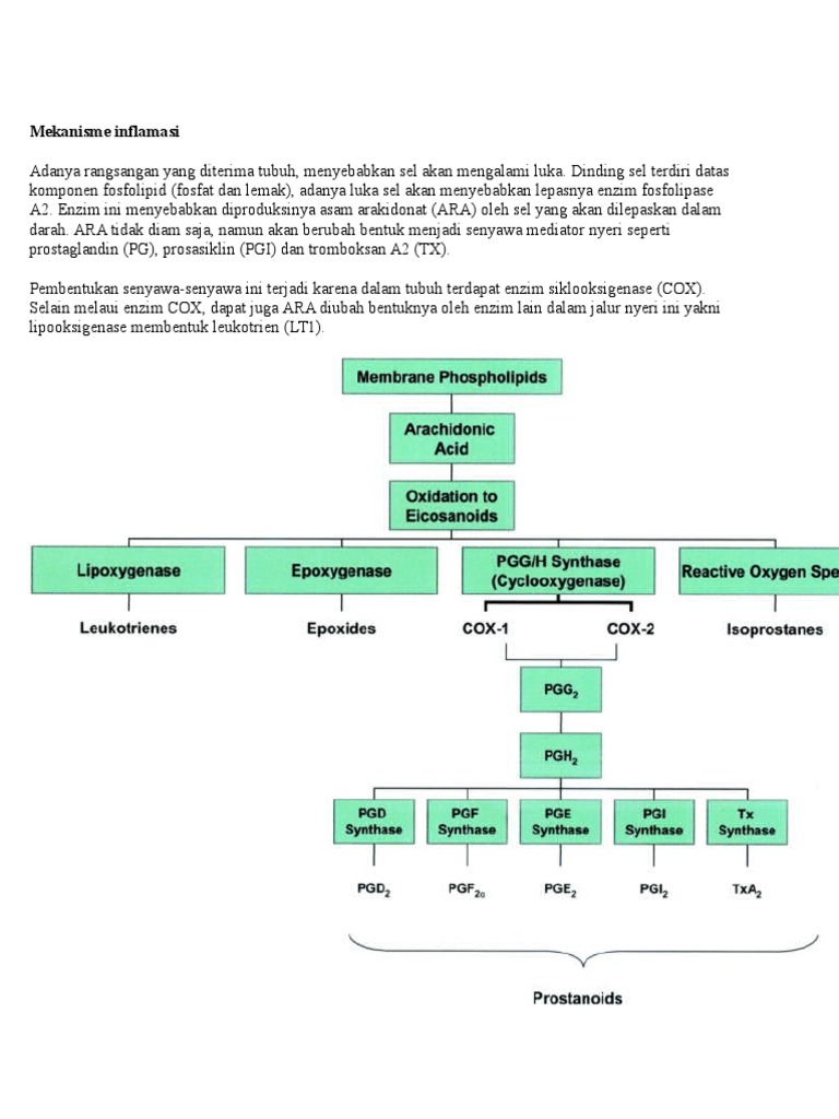 Nsaid | PDF