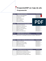 Programacion Del Proyecto