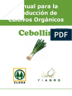 Produccion de Cebollin Organico