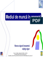 Mediu_Munca.pdf