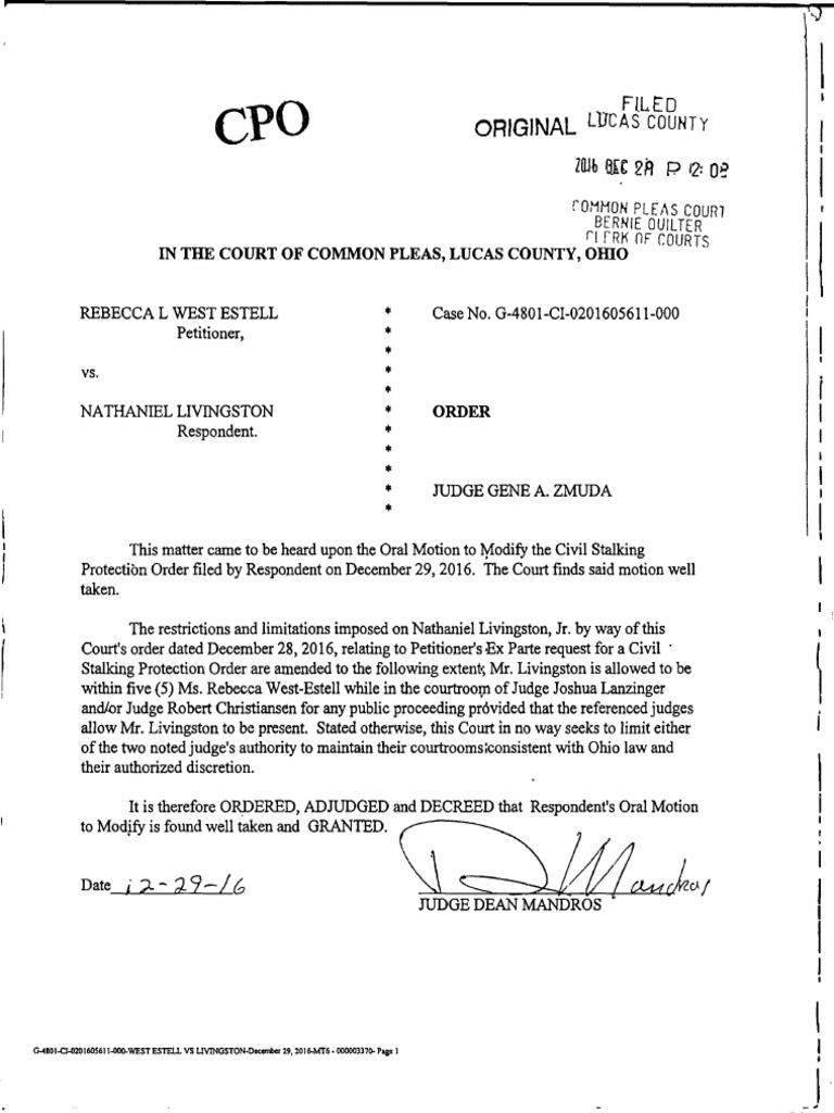 Amended Civil Stalking Order