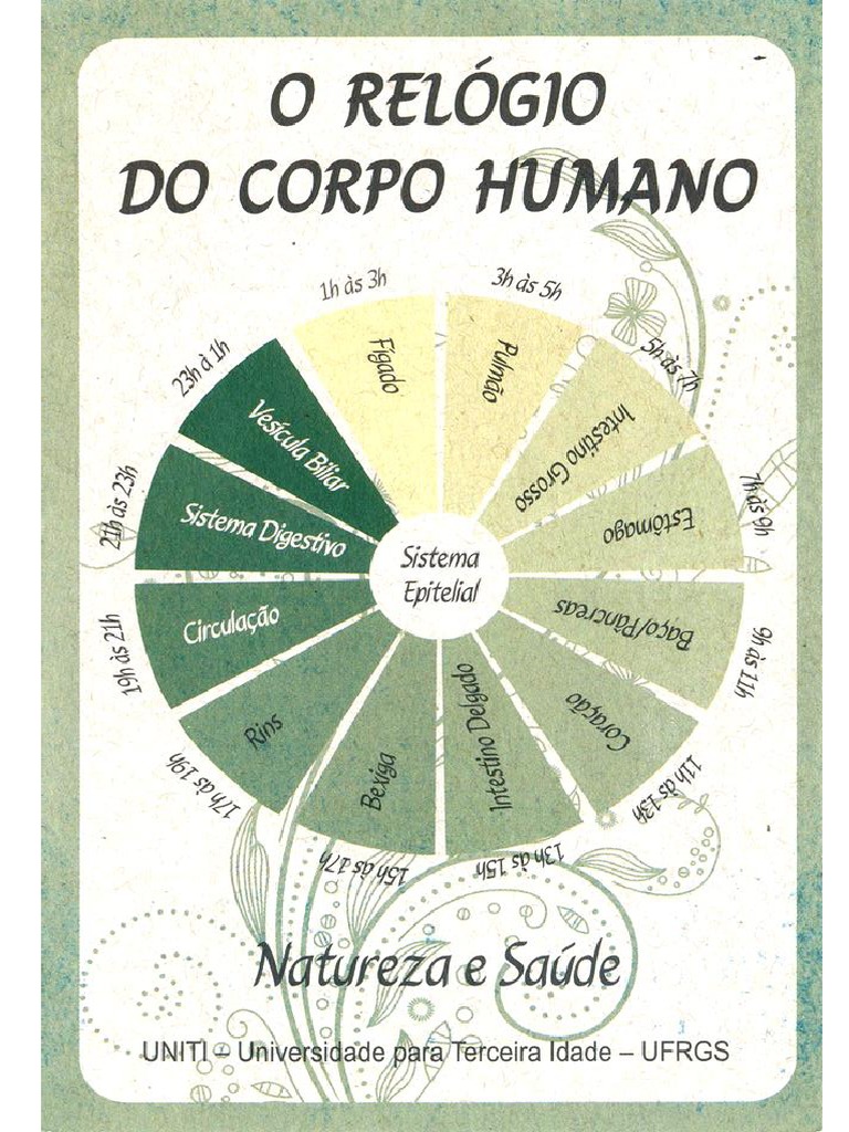 O Relógio do Corpo Humano
