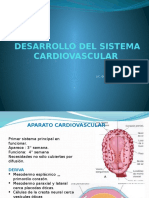 Desarrollo Del Aparato Cardiovascular 