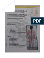 Evaluacion Postural