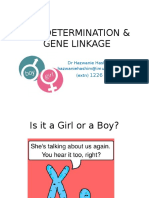 1 Sex Determination