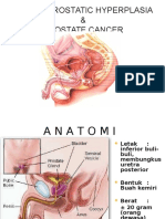 BPH & Prostate CA