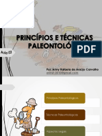 Aula 03 - Principios e Tecnicas