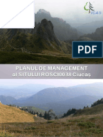 Ciucas - Plan de Management