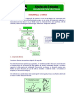 Charla 5 Minutos-SO- Hemorragia Externas