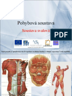 503 Pohybova Soustava