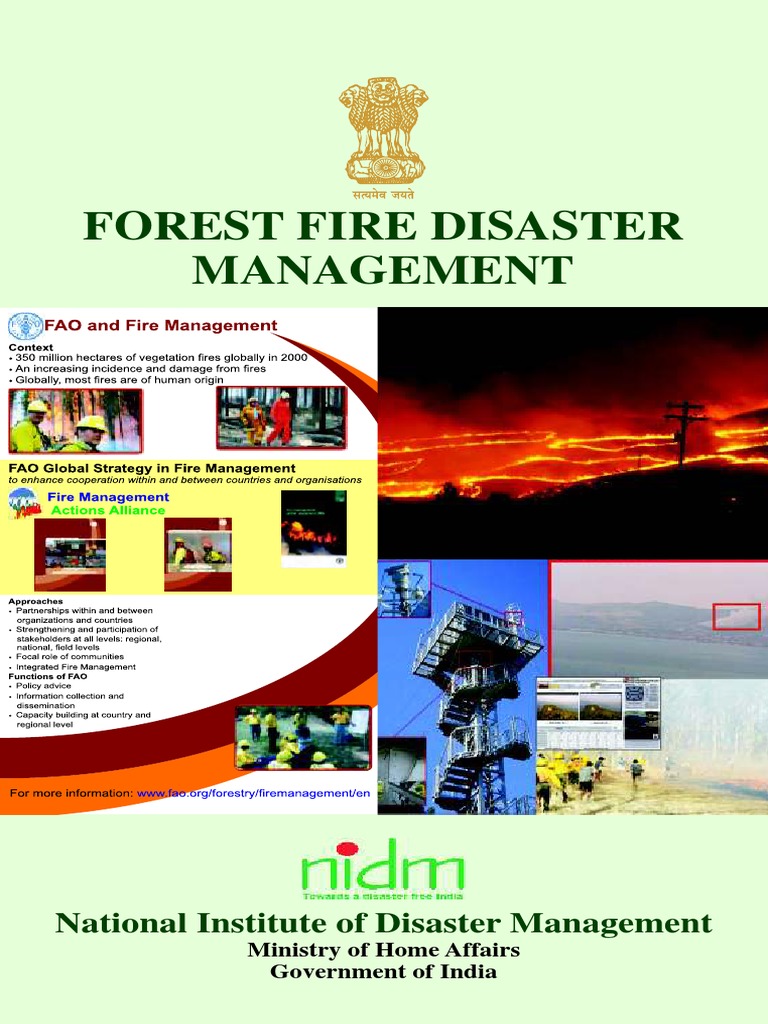 Forest Fire | PDF | Forests | Drainage Basin