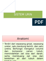 Sistem Urin