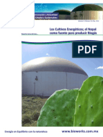 Fasciculo BioWorks PDF