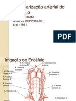 Vascularização Arterial Do Encéfalo