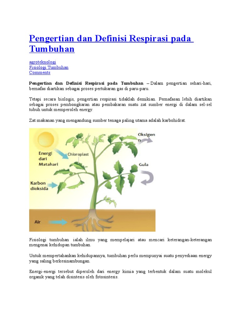 Pengertian Dan Definisi Respirasi Pada Tumbuhan Pdf