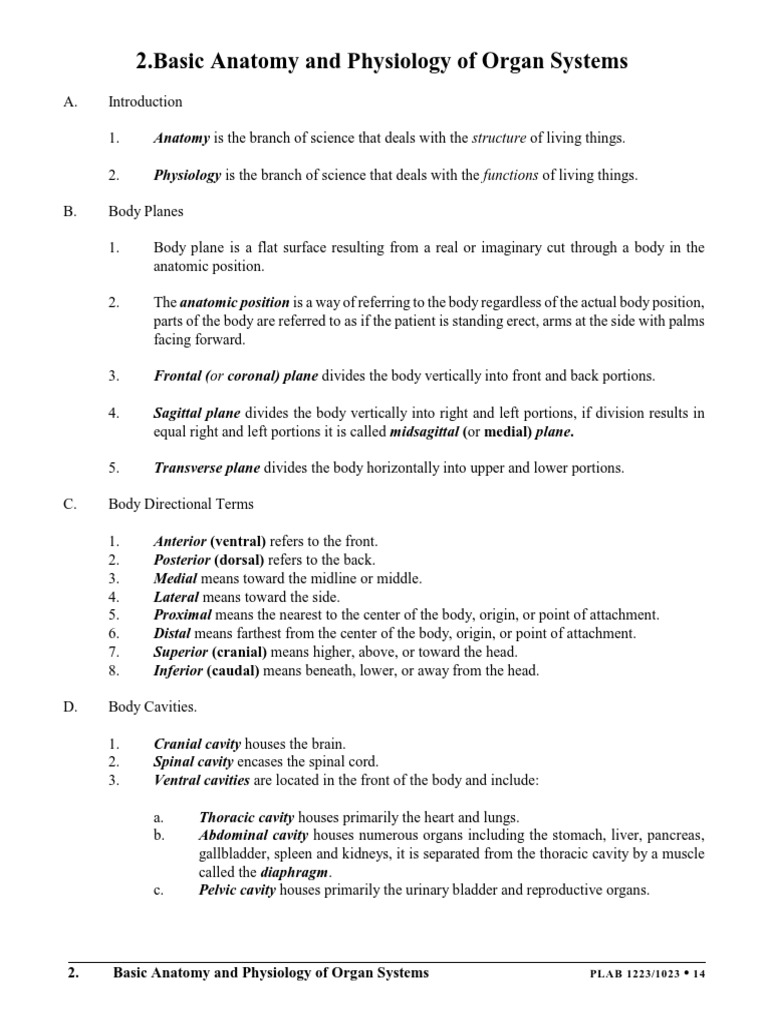 Basic Anatomy and Physiology of Organ Systems | PDF | Anatomical Terms ...