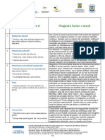 Plan de Afaceri Magazin Haine Casual PDF