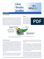 PANCREAS Patologia.pdf