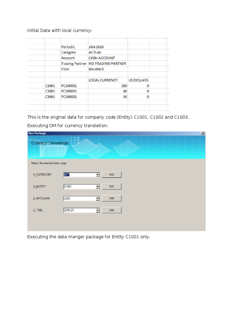 Currency Conversion Data for Entities | PDF