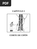 guia_cap3