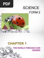 Worksheet Science Form 2 Chapter 1 | PDF