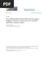 Hornberger_2005_Voz y Biliteracidad en La Revitalizacion