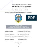Informe - Internado Farmacia HNRPP PDF