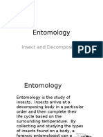 Entomology: Insect and Decomposition