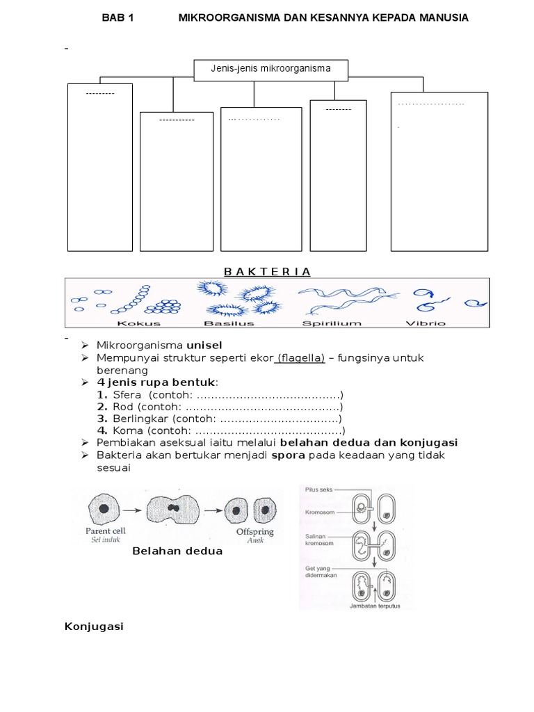Mikroorganisma & Faktor Mempengaruhi Pertumbuhan Mikroorganisma  PDF