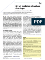 Protein PDF