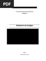 Relatório de Estágio 