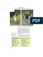 K!"#$%!" G&$'$ NP R$ ($) &$': The Beautiful Sarus Crane and Cormorant Are Amongst The Commonest Birds Spotted in Keoladeo
