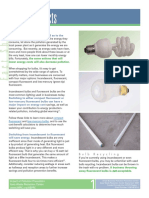 Light Bulb Facts PDF