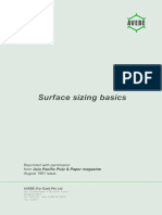 Surface Sizing Basics PDF