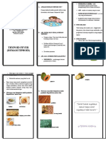 Documents - MX Leaflet Demam Thypoid Tipes