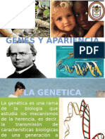 Genética y herencia: los principios de Mendel