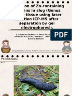 Detection of Zn-Containing Proteins in Slug (Genus Arion) Tissue Using Laser Ablation ICP-MS After Separation by Gel Electrophoresis