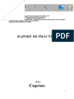 RAPORT DE PRACTICA CD.doc