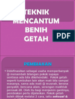 2teknik Mencantum Benih Getah (Edited)