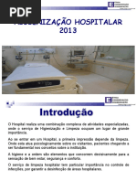Treinamento Higienizacao Hospitalar 2013 1